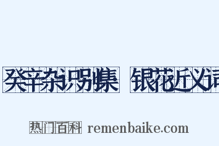 癸辛杂识别集·银花近义词是什么意思的图片